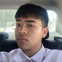 Image dev #0